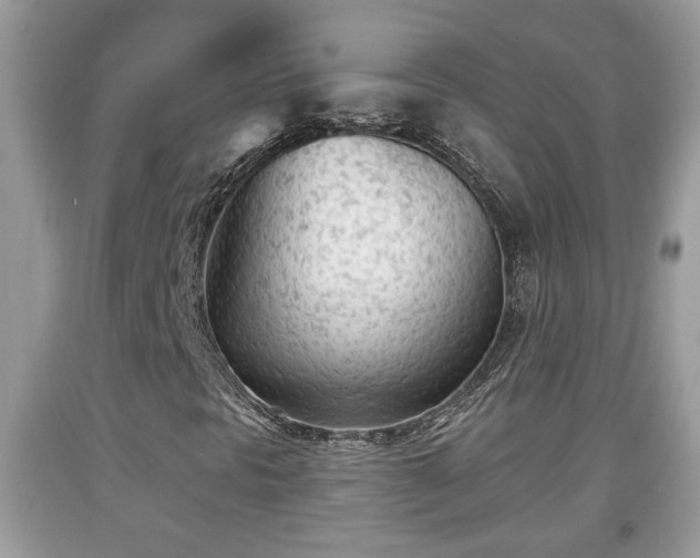 X0000091971297200709131329