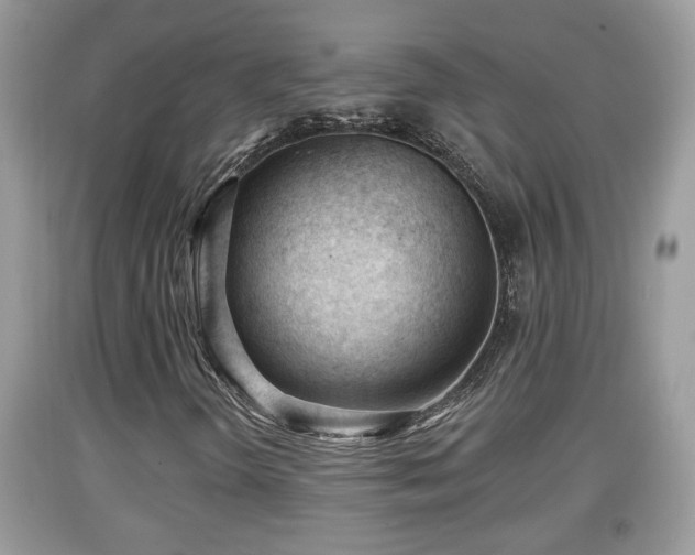 X0000091971298200709131329