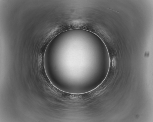 X0000091971299200709131329