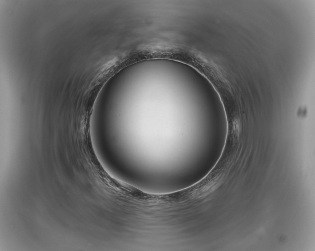 X0000091971300200709131329