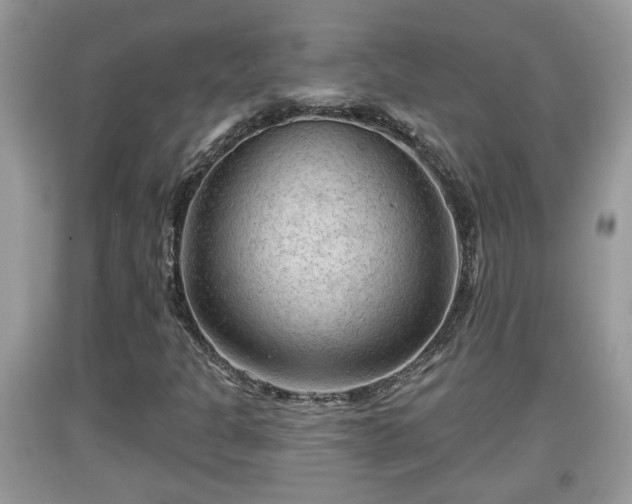 X0000091971301200709131329