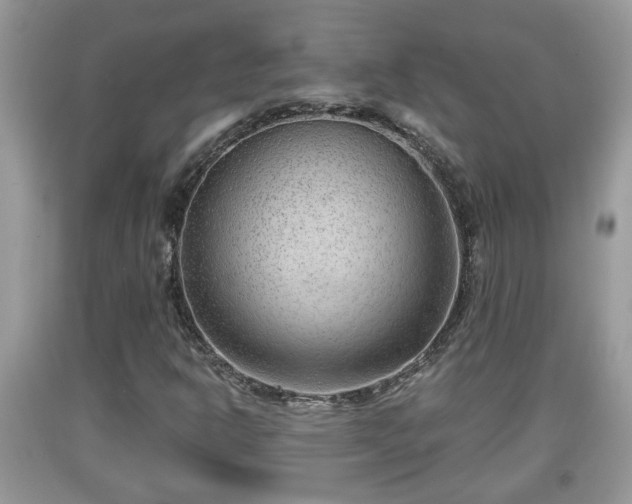 X0000091971302200709131329