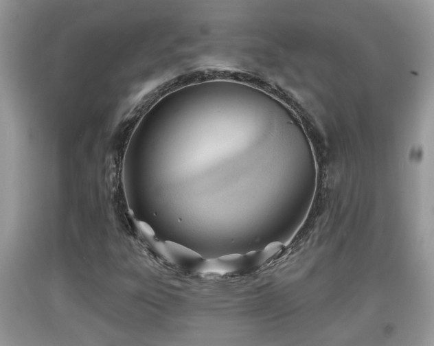 X0000091971303200709131329