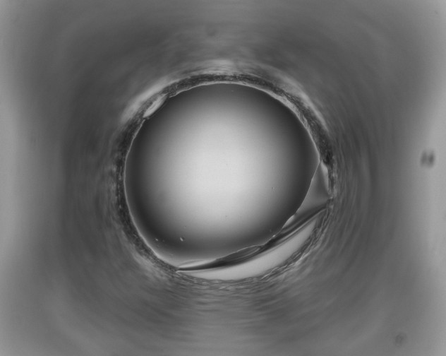 X0000091971304200709131329