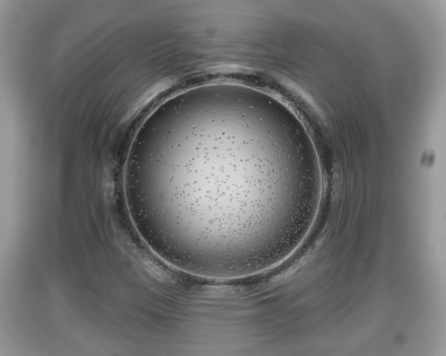 X0000091971305200709131329