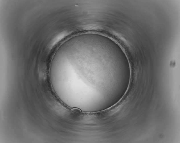 X0000091971306200709131329