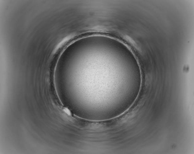 X0000091971307200709131329