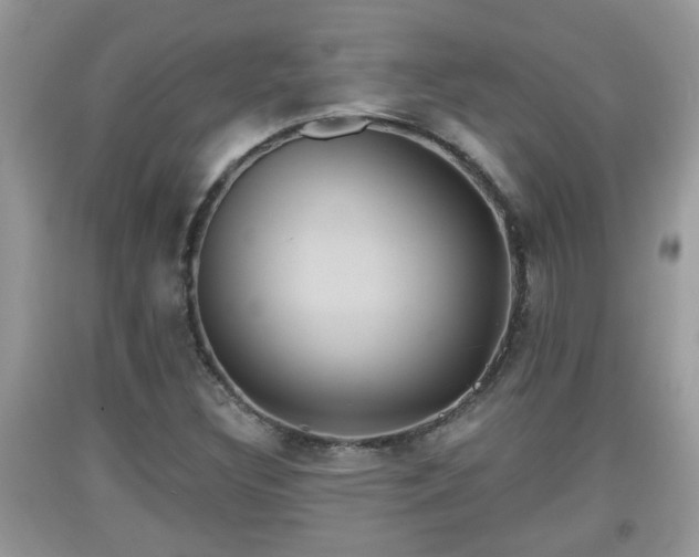 X0000091971308200709131329