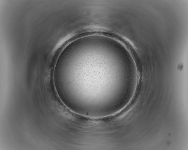 X0000091971309200709131329