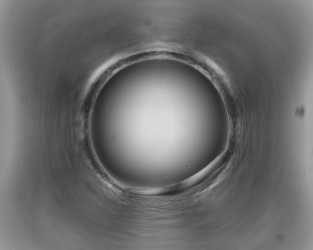 X0000091971310200709131330