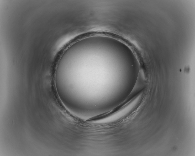 X0000091971311200709131330