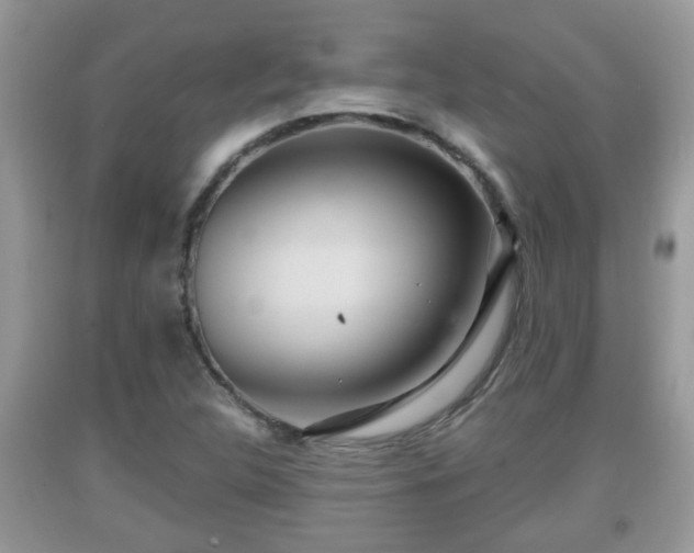 X0000091971312200709131330