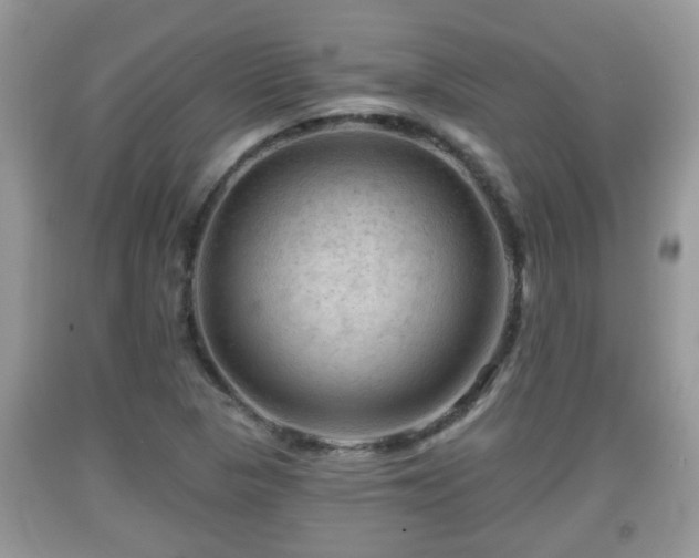 X0000091971313200709131330