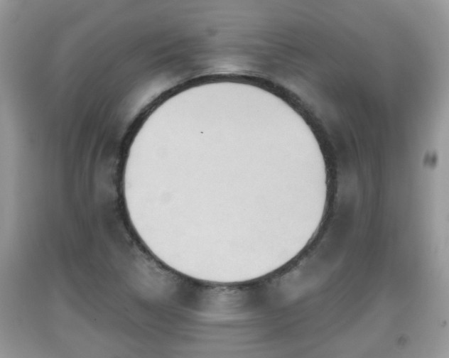 X0000091971314200709131330