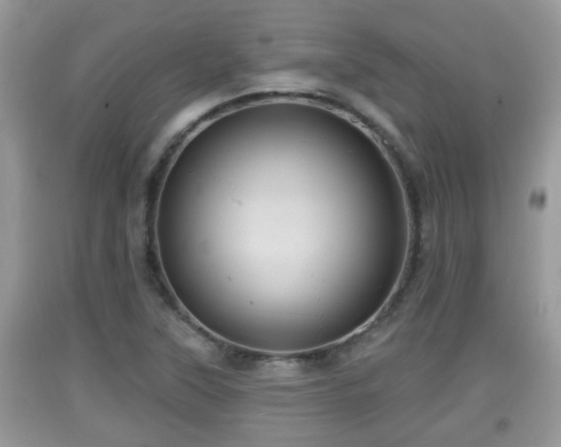 X0000091971315200709131330