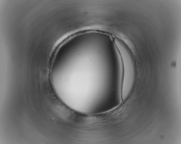 X0000091971316200709131330