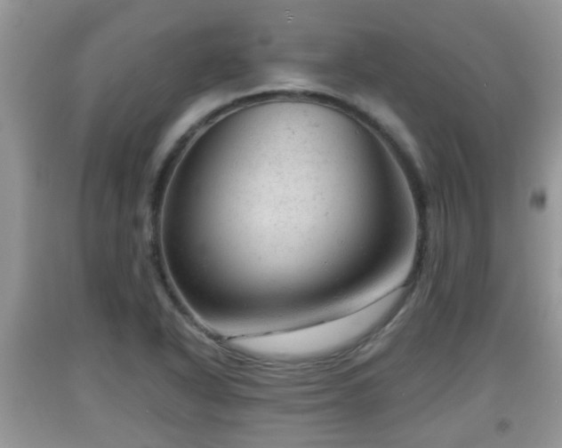 X0000091971318200709131330
