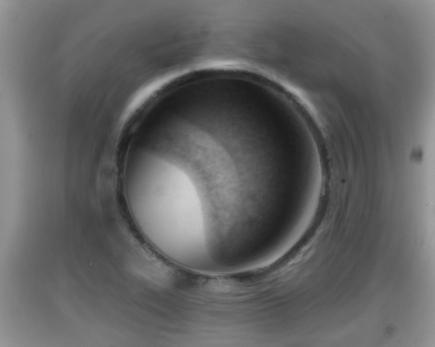 X0000091971319200709131330