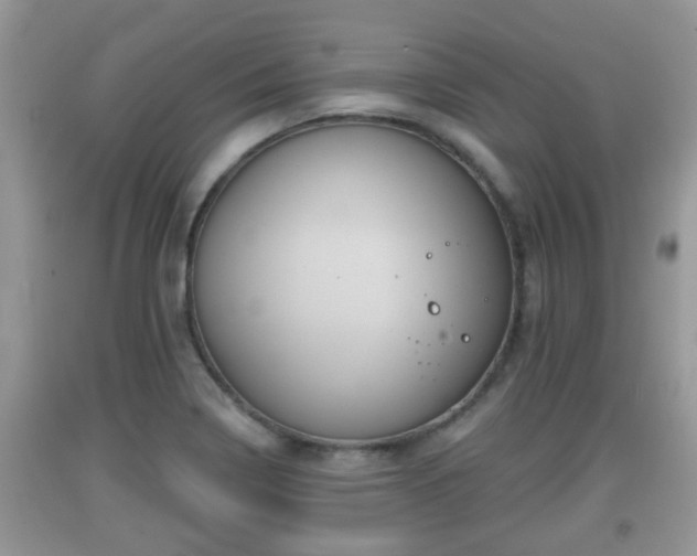 X0000091971322200709131330