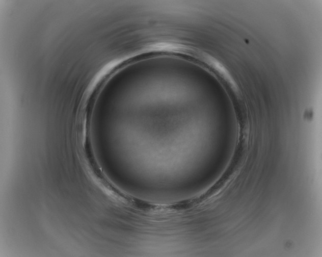 X0000091971323200709131330