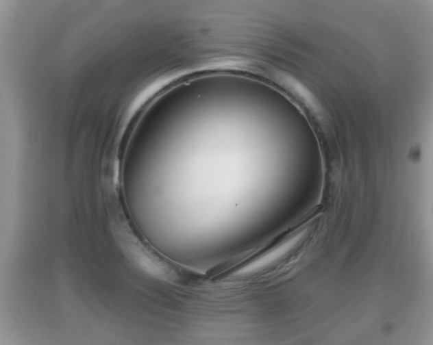 X0000091971324200709131330
