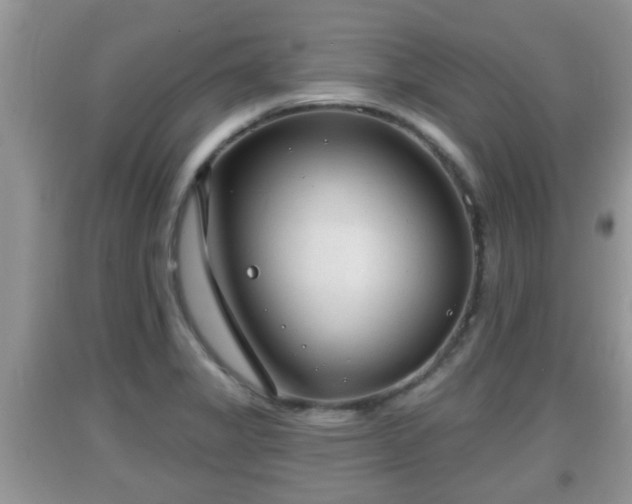 X0000091971325200709131330