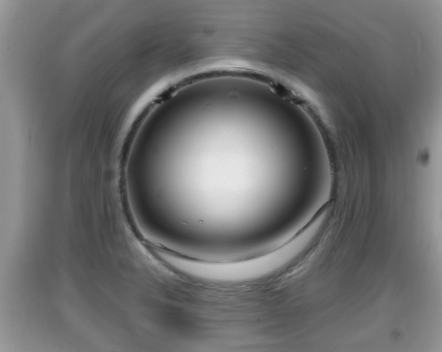 X0000091971326200709131330