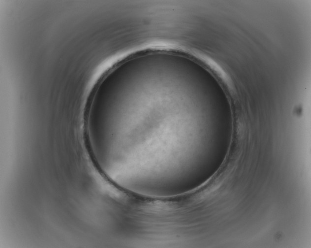 X0000091971327200709131330
