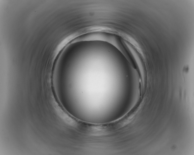 X0000091971330200709131330