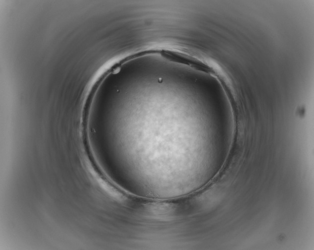 X0000091971331200709131330