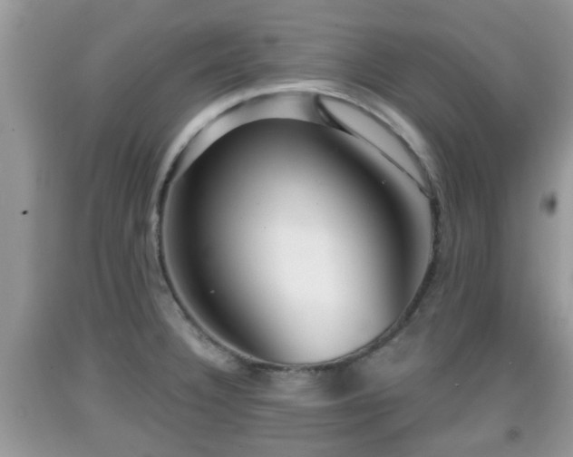 X0000091971332200709131330