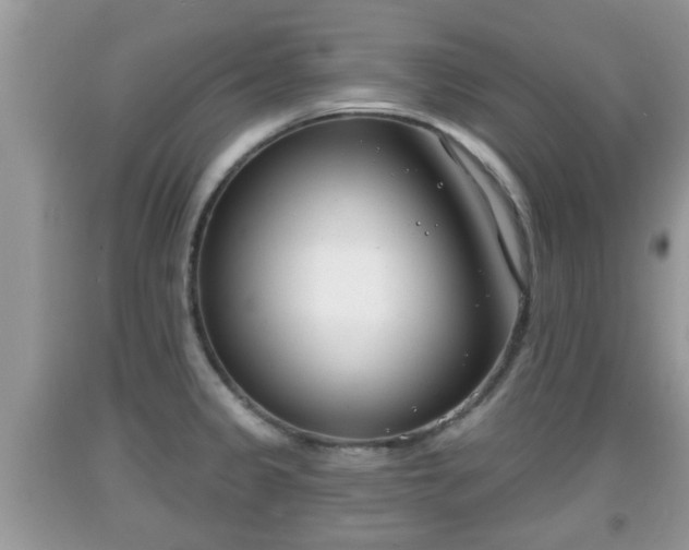 X0000091971333200709131330
