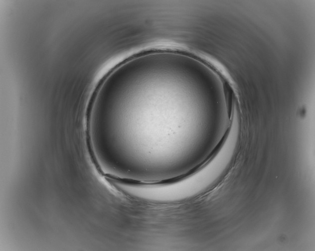 X0000091971335200709131330