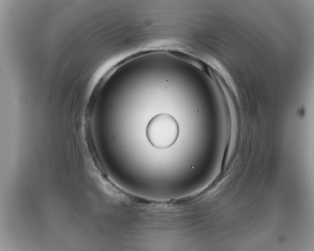 X0000091971336200709131330