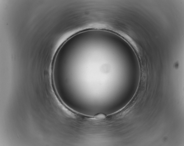 X0000091971343200709131330