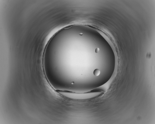 X0000091971344200709131330