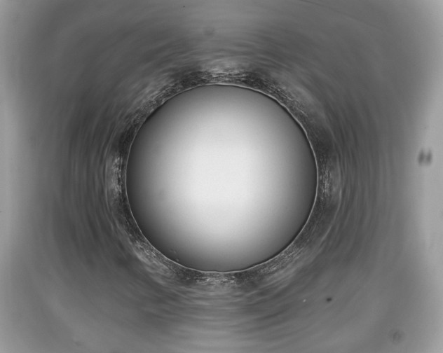 X0000091971346200709131329