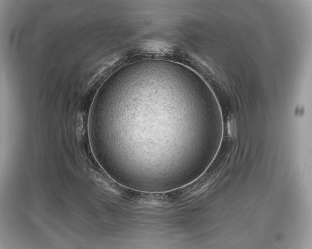 X0000091971347200709131329