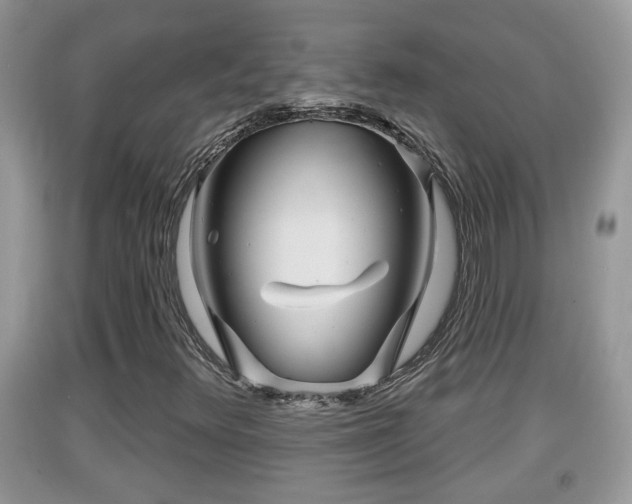 X0000091971348200709131329