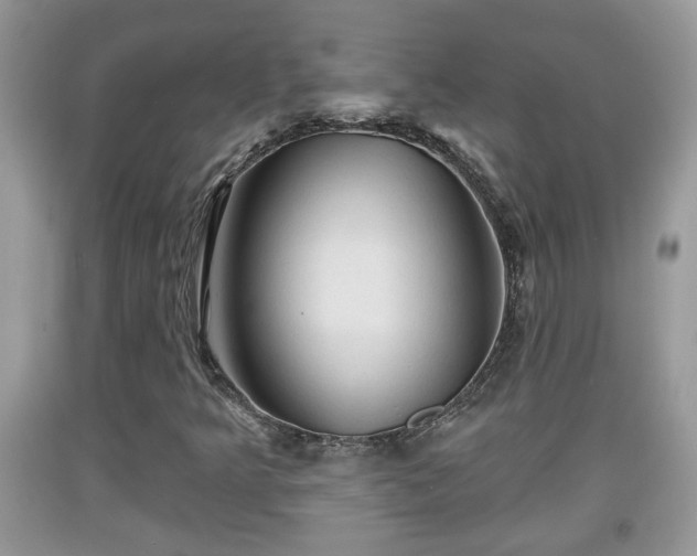 X0000091971349200709131329