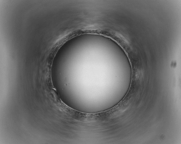 X0000091971350200709131329