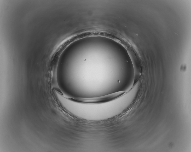 X0000091971352200709131329