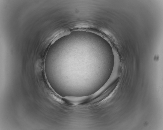 X0000091971353200709131329