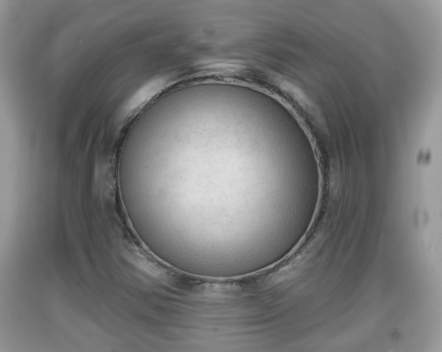 X0000091971354200709131329