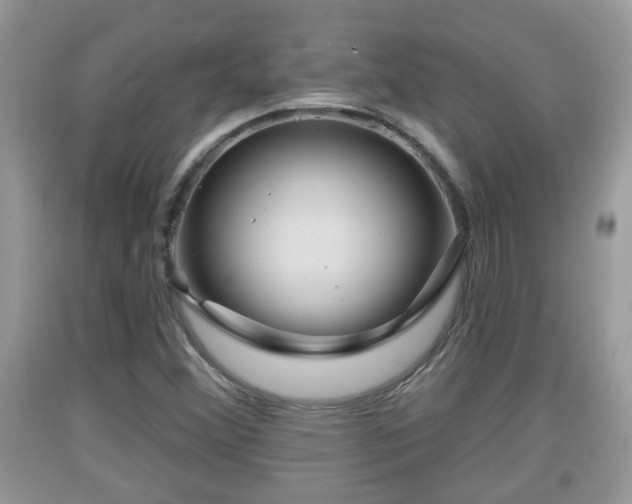 X0000091971356200709131329