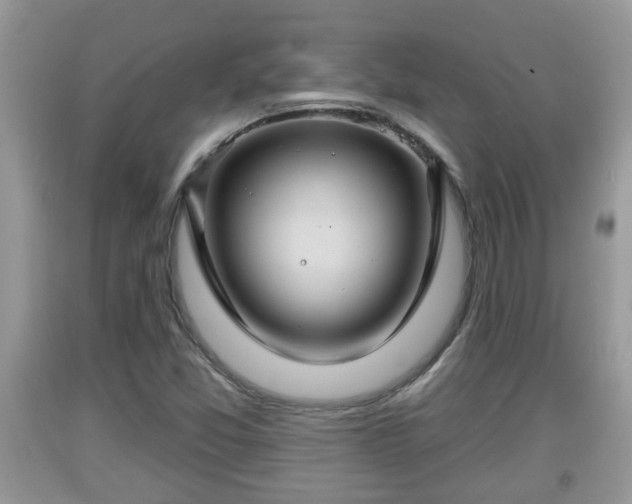 X0000091971357200709131329