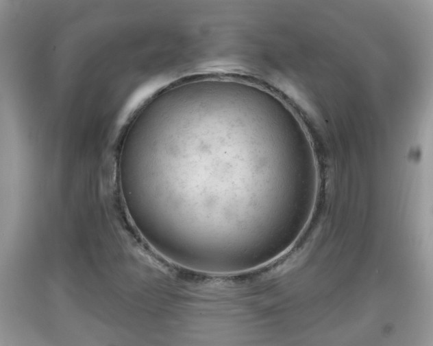 X0000091971358200709131329