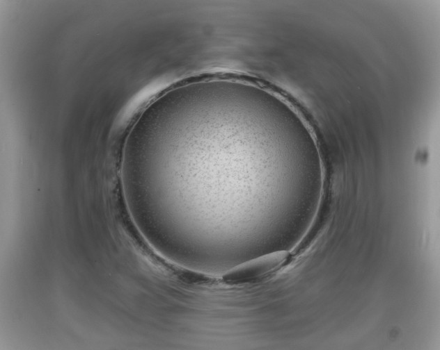 X0000091971359200709131329