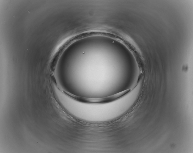 X0000091971360200709131329