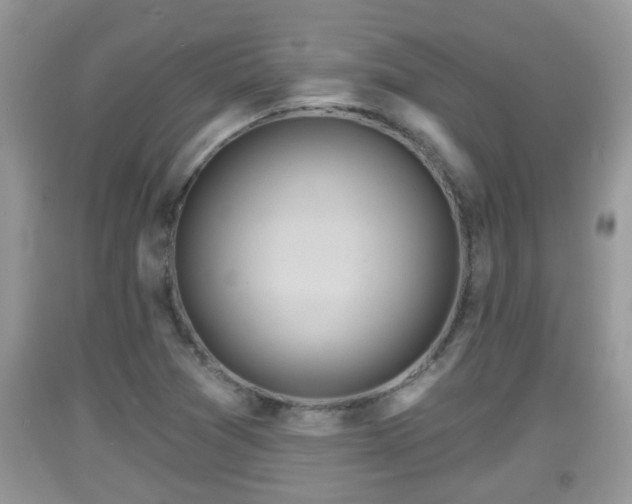 X0000091971361200709131329